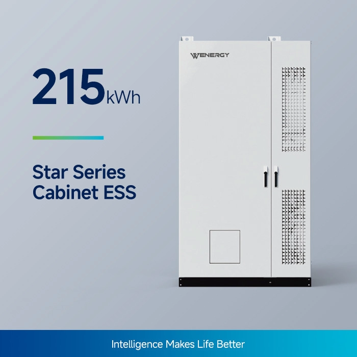  Sistem de baterii All-In-One BESS Star Series 100KW/215kWh