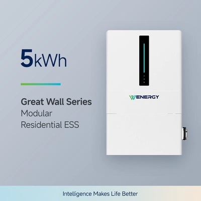  Baterie de stocare a energiei pentru uz rezidențial BMS Protection 5 kWh (Stocare de energie prin baterii pentru uz rezidențial)