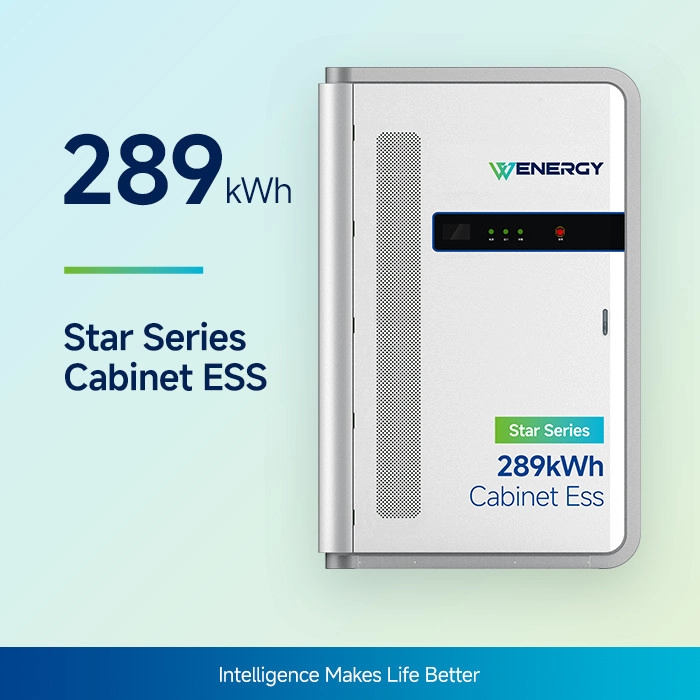 Sisteme de stocare a energiei comerciale modulare de 289 kWh - Cabinet ESS All In One