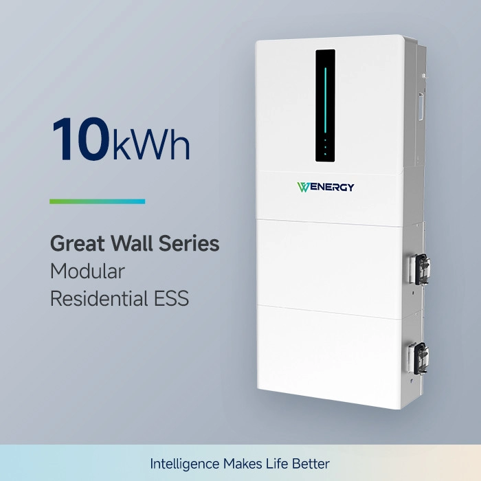 Baterie de stocare a energiei solare pentru uz rezidențial de 10kWh (Baterie de stocare rezidențială Lifepo4)