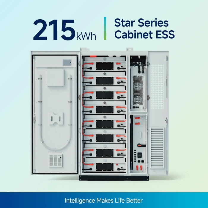Sistem de baterii All-In-One BESS Star Series 100KW/215kWh
