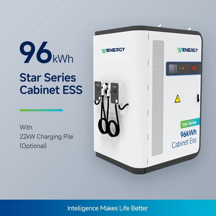 Star series 96KWh sistem solar + stocare + diesel + încărcare all-in-One | soluție hibrid multi-energie