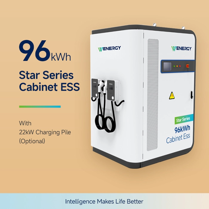 Cabinet de stocare a energiei hibrid solar-diesel 96.46kWh cu integrare ridicată