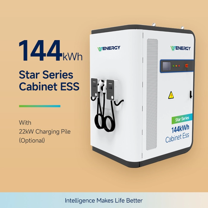Dulap de stocare a energiei 144kWh All in one (Capacități de încărcare integrate  PV, ESS, diesel și  EV)