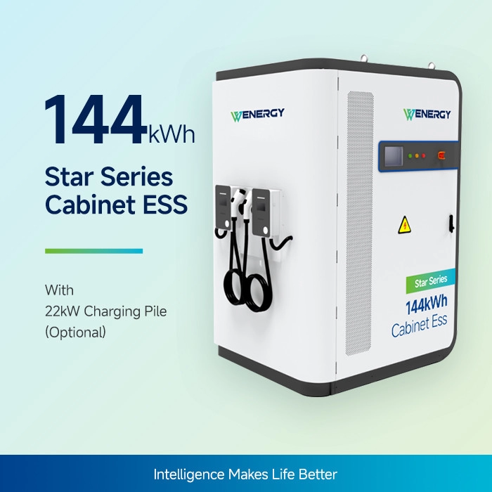 Sistem de stocare a energiei hibrid solar-diesel de 144 kWh, în cabinet.