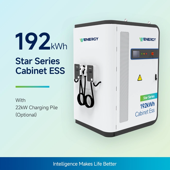 Sistem hibrid de energie solară și motorină de 192kWh (Design integrat al sistemului de stocare a energiei)